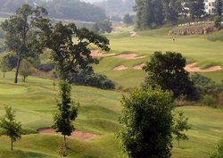 branson-golf-15-years