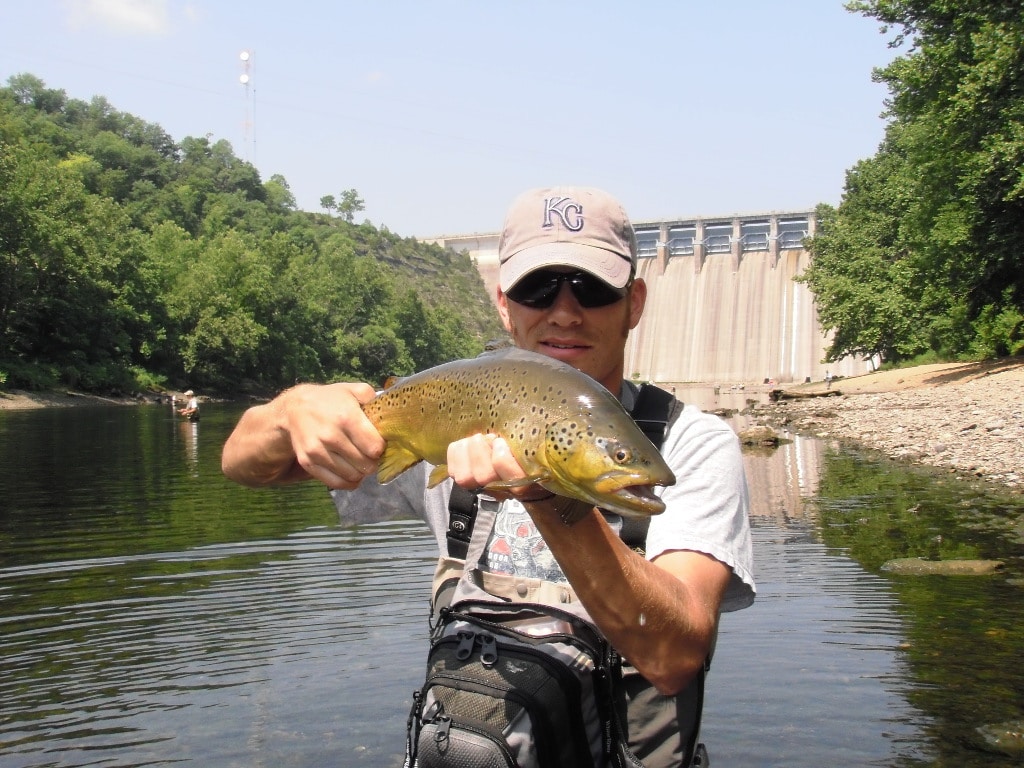 brown-trout-taneycomo
