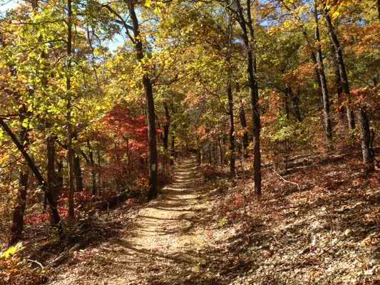 Hiking Trails in Branson