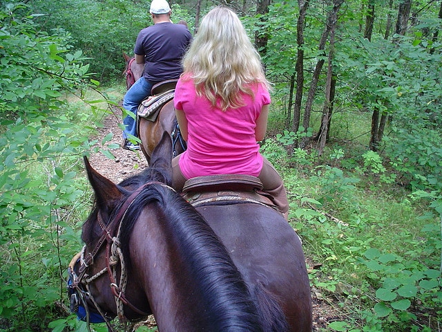 Horseback-Riding-in-Busiek-Trails