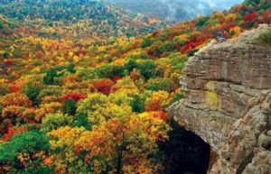 Ozarks Fall Color