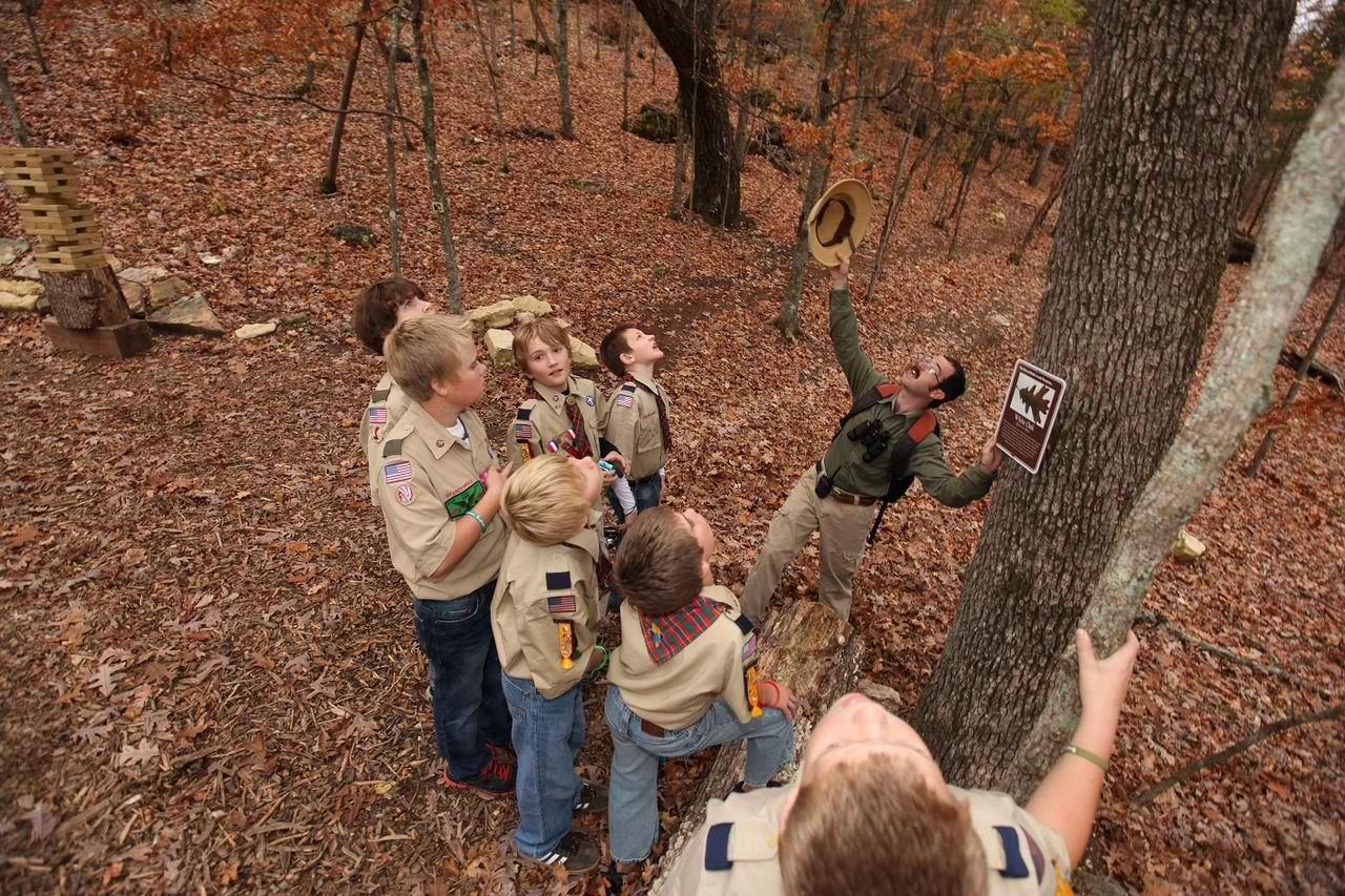 Safari-Guided-Walking-Tour