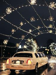 limo-christmas-light-tour
