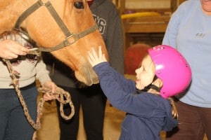 equitherapy