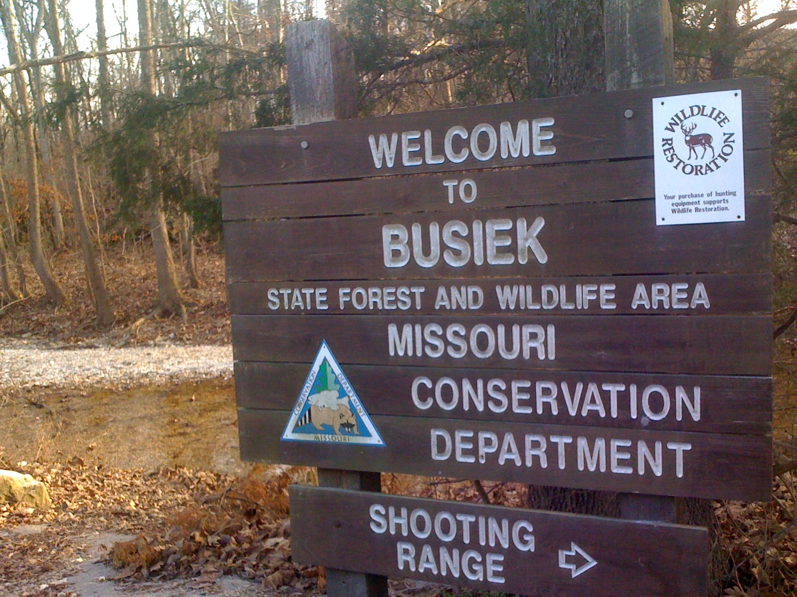 busiek state forest