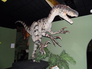 Branson Dinosaur Museum